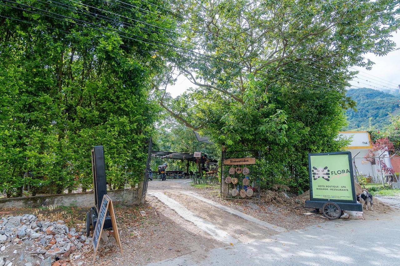 Ayenda Flora Jaguar Bed & Breakfast Ibague Luaran gambar