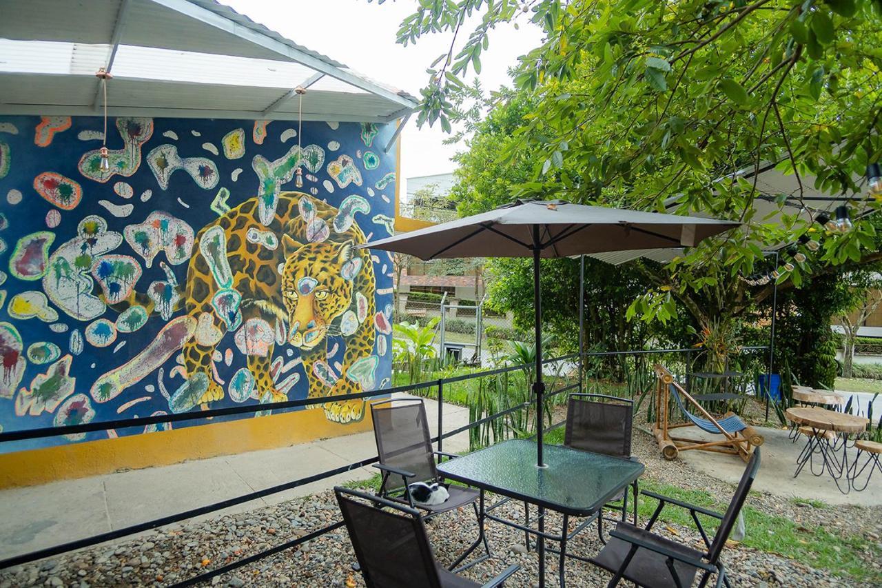 Ayenda Flora Jaguar Bed & Breakfast Ibague Luaran gambar