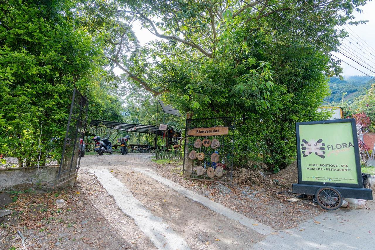 Ayenda Flora Jaguar Bed & Breakfast Ibague Luaran gambar