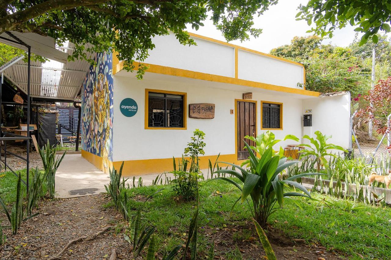 Ayenda Flora Jaguar Bed & Breakfast Ibague Luaran gambar
